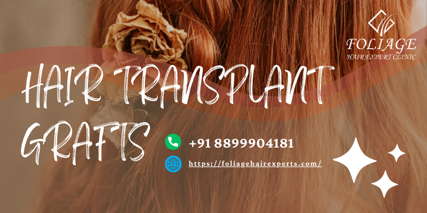hair transplant grafts